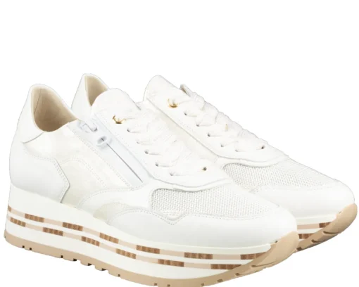 DL Sport 6544 sneakers