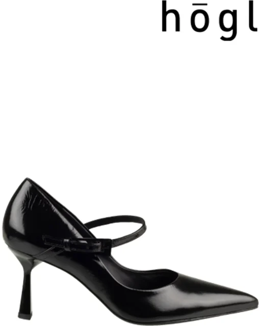 Hogl 8107716 Pumps
